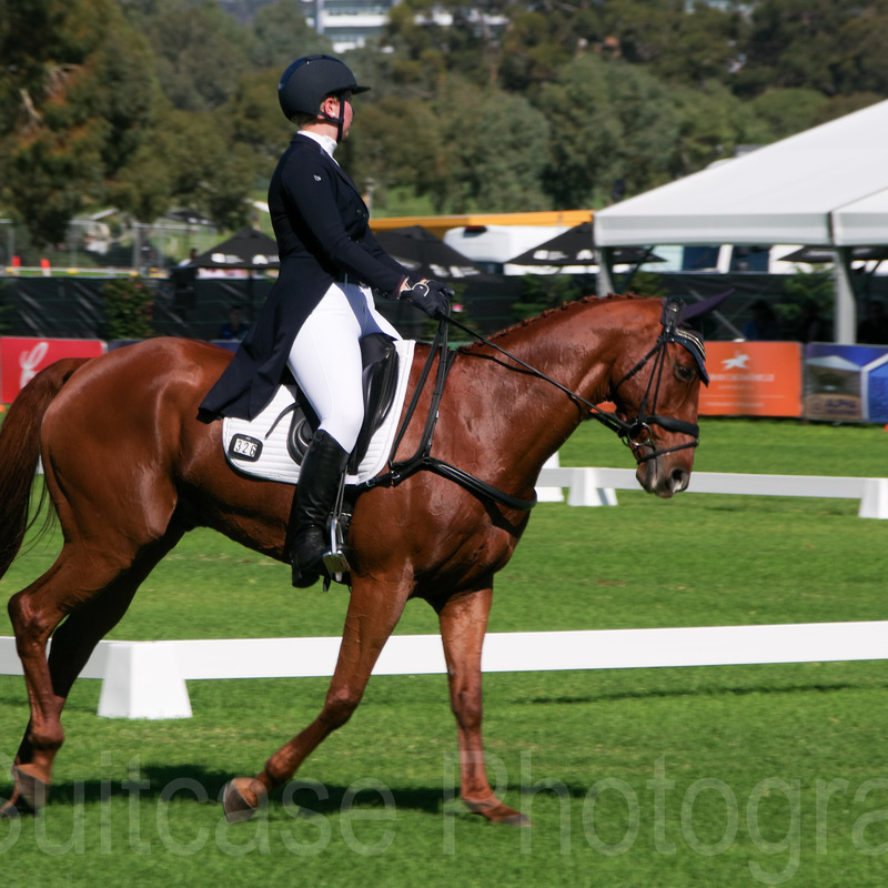 Dressage, Adelaide Equestrian Festival 2026