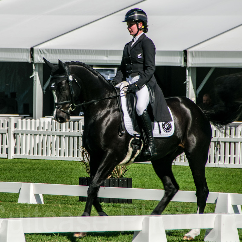 Dressage, Adelaide Equestrian Festival 2026