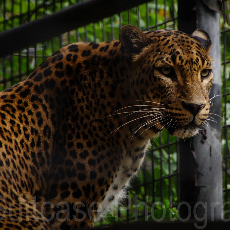 Jamala Wildlife Lodge, Canberra